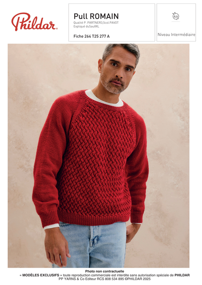 Patron Pull Romain