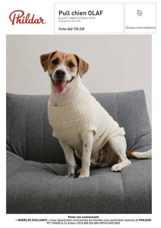 Pull Chien Olaf