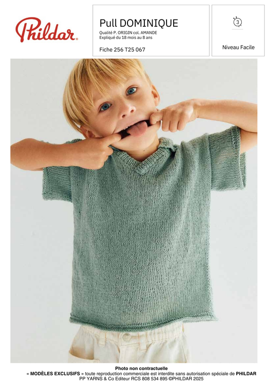 Pull Polo Dominique